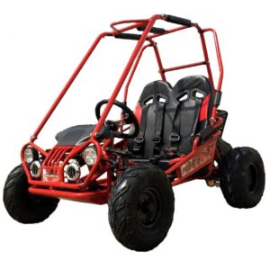 TrailMaster MINI XRX+ Go-Kart